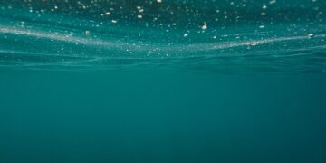 Festival del cinema di Cefalù, “Uova di seppia” vince il premio Earth day 2023