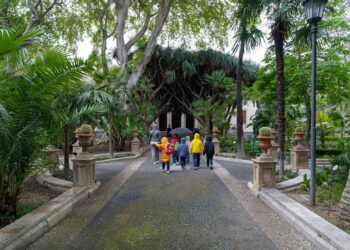 Festa dei lavoratori, all’Orto Botanico di Catania visite gratuite per l’intera giornata