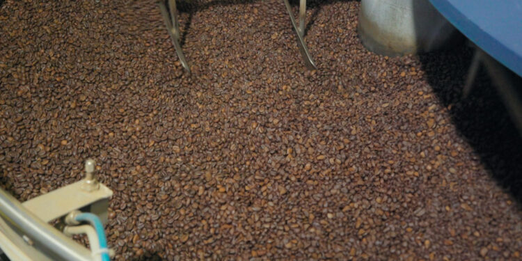 Il viaggio del caffè fino alla nostra tazzina: tra ricette segrete e tostatura