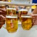 Festival della Birra & Street Food Regionale: al via la nona edizione a Gravina di Catania