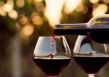 A Noto nasce Vino Connect Sicilia: la nuova realtà che accelera lo sviluppo della filiera vitivinicola