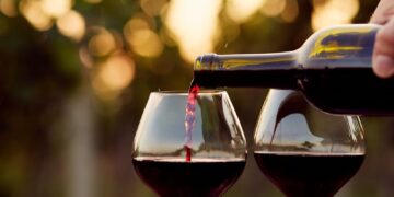 A Noto nasce Vino Connect Sicilia: la nuova realtà che accelera lo sviluppo della filiera vitivinicola