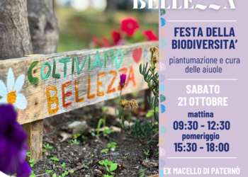 Paternò: al via l’operazione di riqualifica “Coltiviamo Bellezza”