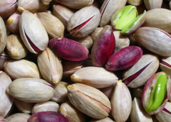 Bronte si prepara ad accogliere la 32ª edizione della Sagra del Pistacchio