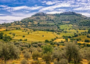 Emporio Sicilia: il successo globale dei tesori enogastronomici isolani