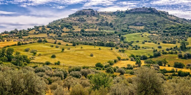 Emporio Sicilia: il successo globale dei tesori enogastronomici isolani