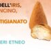 A Tremestieri Etneo la 6ª edizione della Festa dell’Iris, dell’Arancino, del Vino e dell’Artigianato