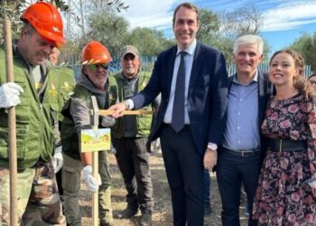Festa dell’albero, Sammartino e Turano nelle scuole per piantare l’ulivo