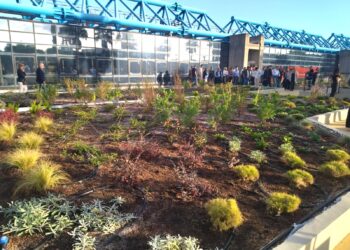 Ambiente, il primo tetto verde all’Università di Catania: in cosa consiste