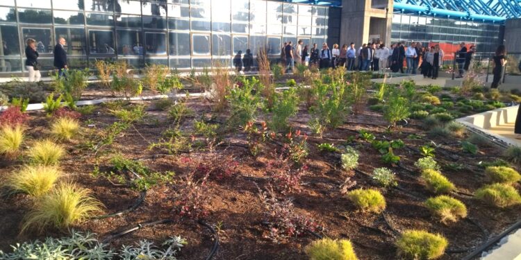 Ambiente, il primo tetto verde all’Università di Catania: in cosa consiste