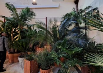 Catania, tornano le visite serali all’Orto Botanico dell’Università