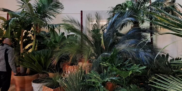 Catania, tornano le visite serali all’Orto Botanico dell’Università