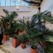 Catania, tornano le visite serali all’Orto Botanico dell’Università