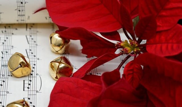 Natale a Catania: in programma i concerti del coro lirico Bellini