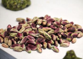 Il Pistacchio di Raffadali Dop adesso ha un consorzio di tutela