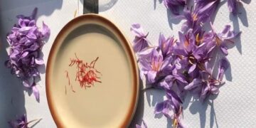 Lo zafferano coltivato a Catania ingrediente per la cosmesi e la nutraceutica