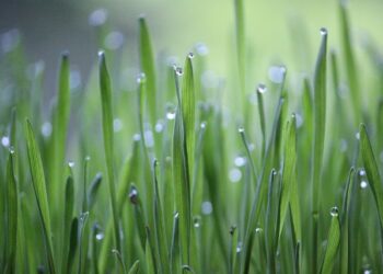 Agri School Expo, al via la quarta edizione: studenti ed esperti a confronto