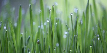 Agri School Expo, al via la quarta edizione: studenti ed esperti a confronto