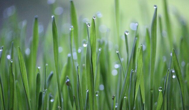 Agri School Expo, al via la quarta edizione: studenti ed esperti a confronto