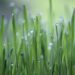Agri School Expo, al via la quarta edizione: studenti ed esperti a confronto