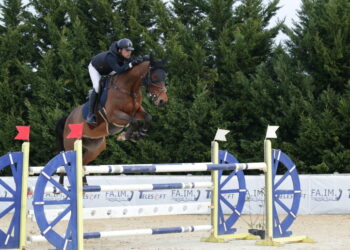 Equitazione: il cavaliere palermitano Stefano Enea diventa campione regionale di salto ostacoli