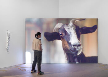 “U scantu: a disorderly tale” di Elisa Giardina Papa inaugurata a Edimburgo