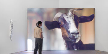 “U scantu: a disorderly tale” di Elisa Giardina Papa inaugurata a Edimburgo