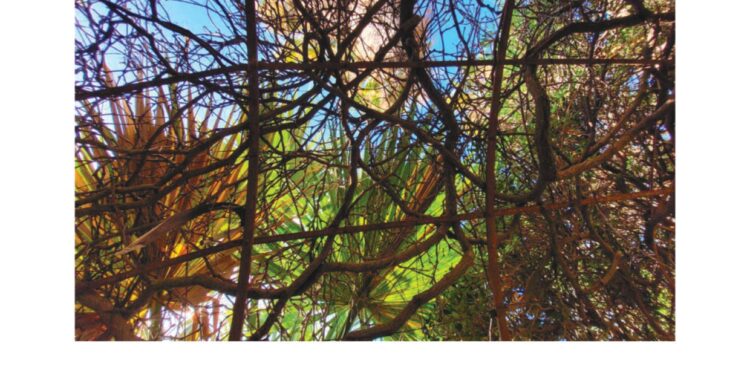 Trapani si dispone su una tavola rotonda per la rigenerazione dei Beni Comuni