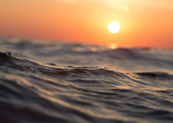 Ragazza scomparsa da nave Gnv, proseguono le ricerche a Palermo