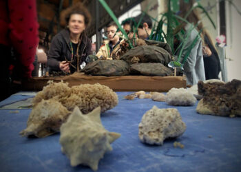 Palermo: un look rinnovato per l’Ecomuseo del Mare