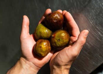 La pizza con i fichi: ecco due gustose ricette