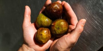 La pizza con i fichi: ecco due gustose ricette