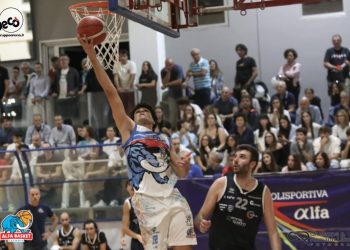 Alfa Basket di casa nei piani alti della C: quali sono i programmi?