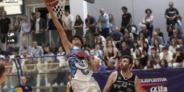 Alfa Basket di casa nei piani alti della C: quali sono i programmi?