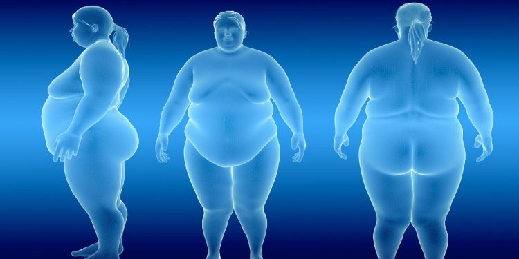 Nuove linee guida per l’obesità