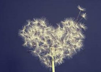 Sankalpa: lo sguardo più ottimista con la forza della pura intenzione