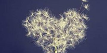 Sankalpa: lo sguardo più ottimista con la forza della pura intenzione