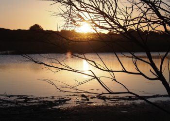 Riserva Naturale Vendicari, archeologia e biodiversità da gustare