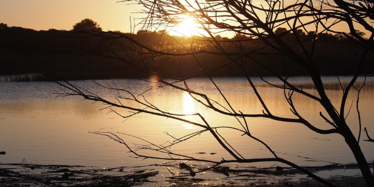 Riserva Naturale Vendicari, archeologia e biodiversità da gustare