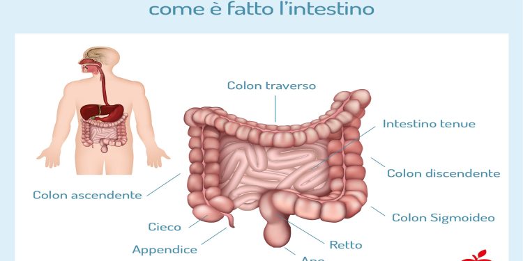 Colite nervosa, quanti italiani ne soffrono attualmente?
