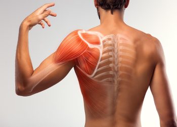 Dolori e rigidità muscolare: in che modo lo stress arriva al muscolo?