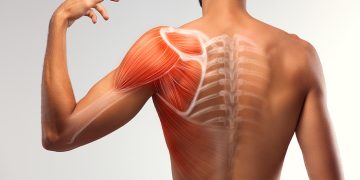 Dolori e rigidità muscolare: in che modo lo stress arriva al muscolo?