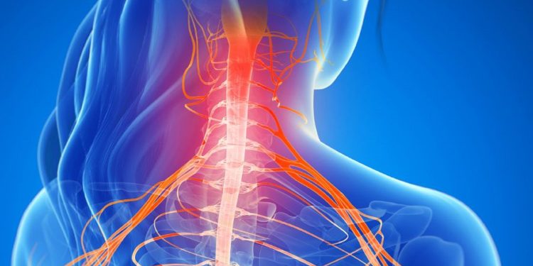 Intervenire prima di sintomi e dolori: il check-up dell’osteopatia