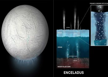 Encelado, scoperti nuovi composti organici: c’è vita anche lì?