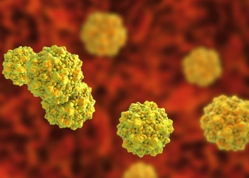 Parvovirosi canina e felina: quali sono le differenze?