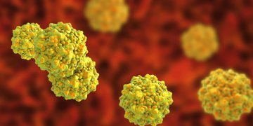 Parvovirosi canina e felina: quali sono le differenze?