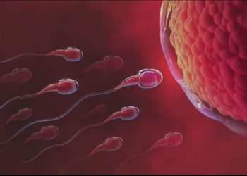 Cos’è l’infertilità e cosa provoca in termini di salute