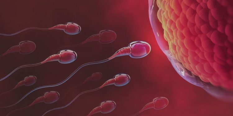 Cos’è l’infertilità e cosa provoca in termini di salute