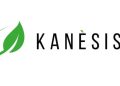 Kanèsis: startup siciliana che trasforma scarti agricoli in bioplastiche per il futuro
