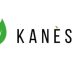 Kanèsis: startup siciliana che trasforma scarti agricoli in bioplastiche per il futuro